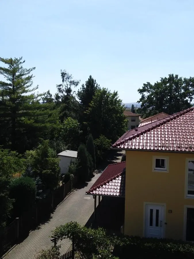Ferienwohnung Fewo am Wilden Mann Dresden